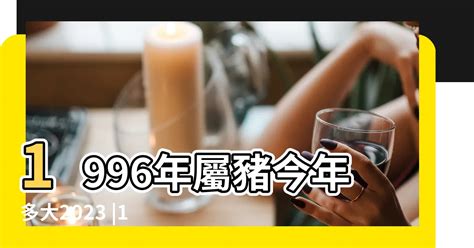 1996屬豬|【1996年生肖豬】1996年屬什麼？生肖豬的運勢大公開！